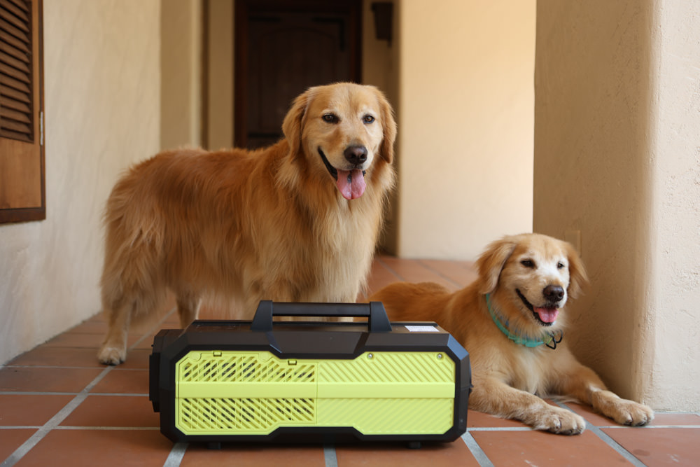 Squall Beast 暴風野獸攜帶式冷氣|戶外型冷氣、低瓦數行動冷氣、夏日露營車露必備、寵物避暑清涼必備 - 第1張圖 Squall Beast 暴風野獸攜帶式冷氣|戶外型冷氣、低瓦數行動冷氣、夏日露營車露必備、寵物避暑清涼必備