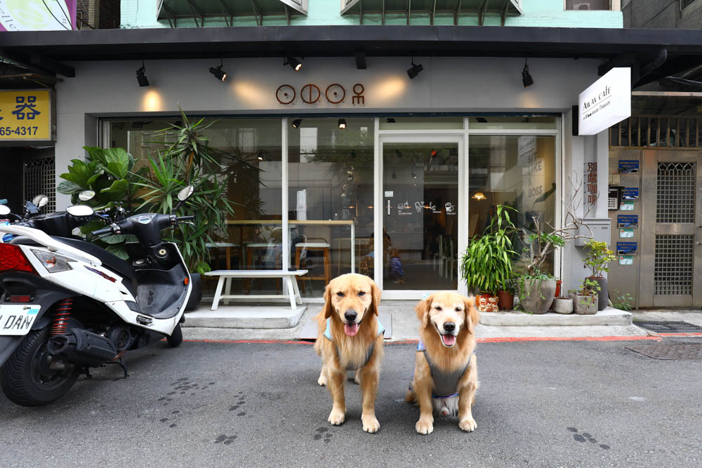 公館美食｜Away cafe 別處咖啡館。可以療癒作畫的咖啡館、寵物友善餐廳、手作甜點