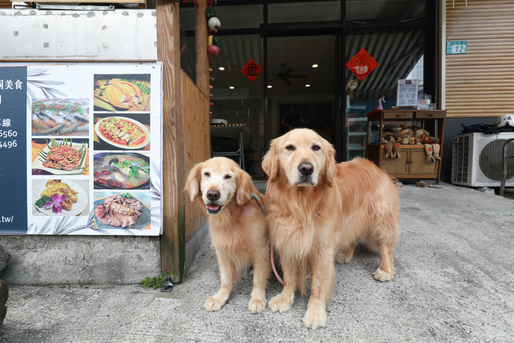 新店美食|加納富魚食坊‧內洞美食。寵物友善餐廳、烏來在地食材創意料理、冷泉養殖鱘龍魚 - 第2張圖 新店美食|加納富魚食坊‧內洞美食。寵物友善餐廳、烏來在地食材創意料理、冷泉養殖鱘龍魚