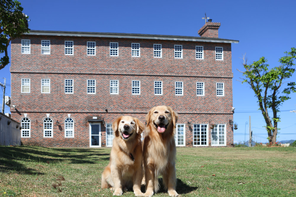 墾丁勿忘我城堡莊園民宿 ｜絕美歐風英倫城堡、寵物友善民宿、歐洲莊園、大草皮、墾丁關山民宿