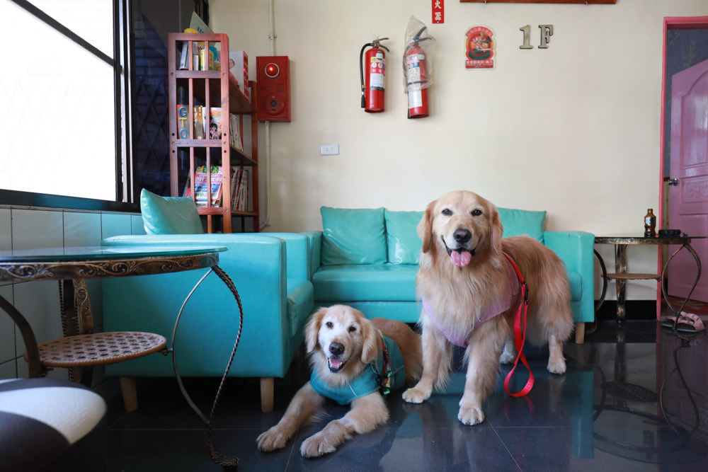 桃園復興|拉拉山、明池北橫貫下巴陵溫泉山莊餐廳。寵物友善民宿餐廳、拉拉山溫泉美人湯、個人湯屋 - 第7張圖 桃園復興|拉拉山、明池北橫貫下巴陵溫泉山莊餐廳。寵物友善民宿餐廳、拉拉山溫泉美人湯、個人湯屋