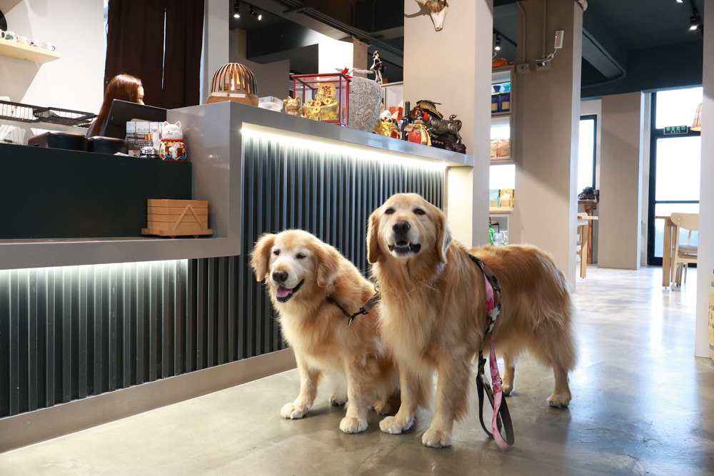 北海岸石門|拾浪咖啡。海景第一排、寵物友善餐廳、無敵海景咖啡廳、坐擁第一排絕美海景 - 第4張圖 北海岸石門|拾浪咖啡。海景第一排、寵物友善餐廳、無敵海景咖啡廳、坐擁第一排絕美海景