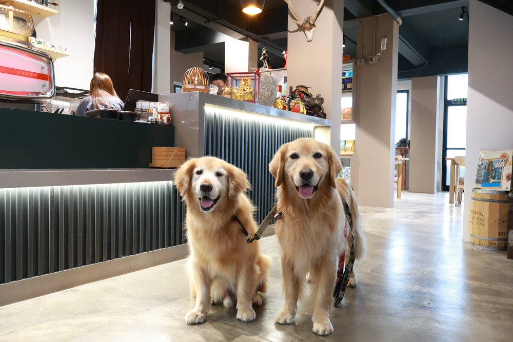 北海岸石門|拾浪咖啡。海景第一排、寵物友善餐廳、無敵海景咖啡廳、坐擁第一排絕美海景 - 第1張圖 北海岸石門|拾浪咖啡。海景第一排、寵物友善餐廳、無敵海景咖啡廳、坐擁第一排絕美海景
