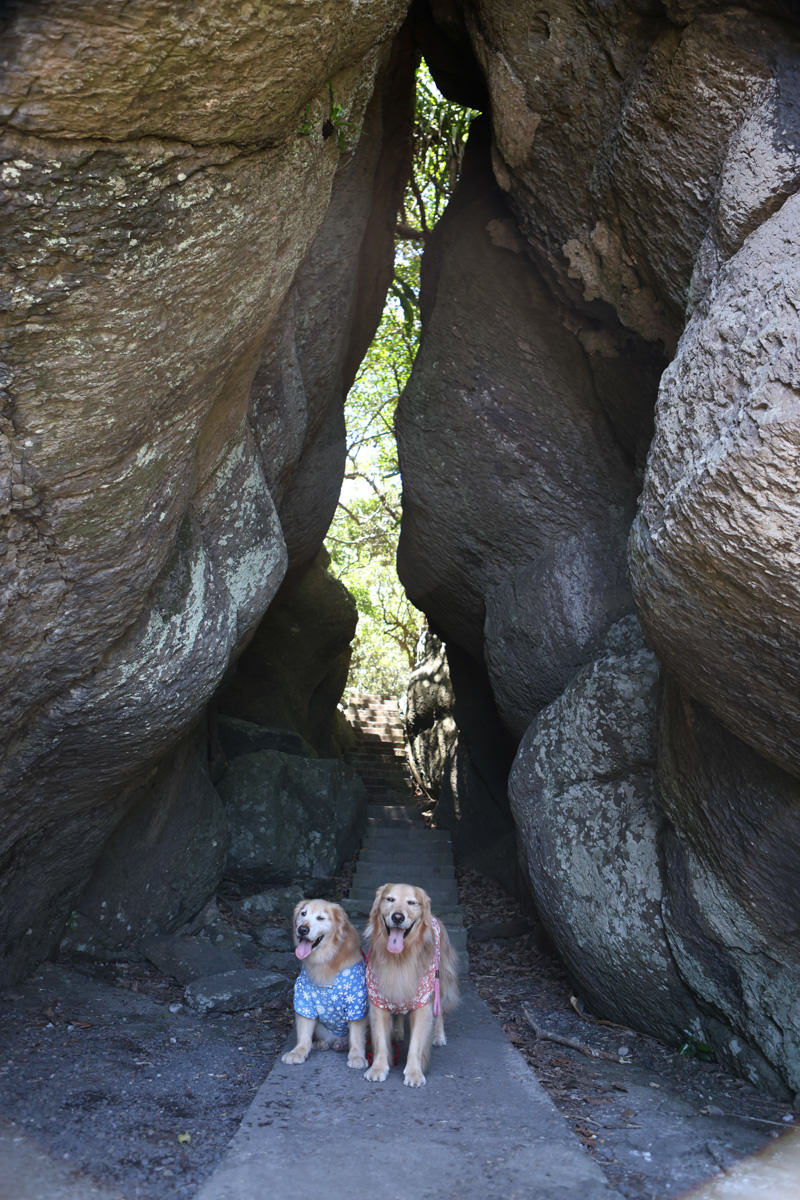 宜蘭頭城景點｜北關海潮公園。一線天秘境、絕美天然礁岩海岸步道、寵物友善景點、免門票、頭城看海秘境