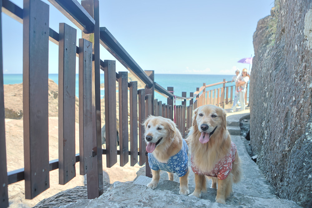 宜蘭頭城景點｜北關海潮公園。一線天秘境、絕美天然礁岩海岸步道、寵物友善景點、免門票、頭城看海秘境