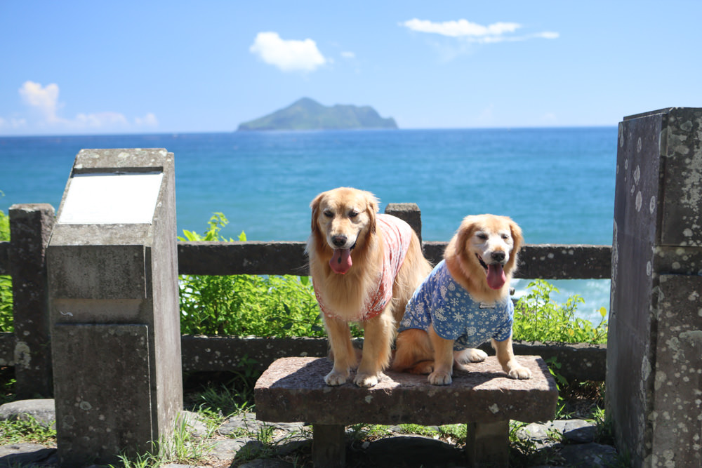 宜蘭頭城景點｜北關海潮公園。一線天秘境、絕美天然礁岩海岸步道、寵物友善景點、免門票、頭城看海秘境