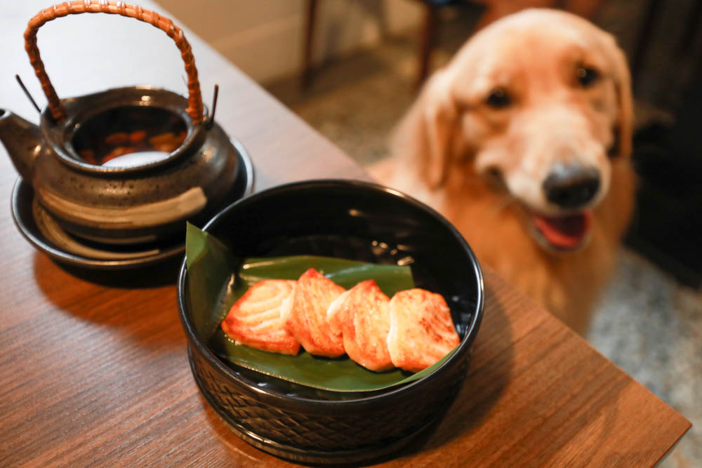 台中美食｜千汌日本料理 にほんりょうり。台中寵物友善餐廳、豪華免費寵物握壽司鮮食餐、包廂設計、寵物友善日料！！