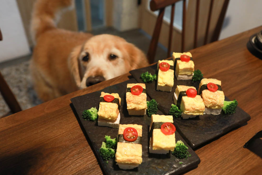台中美食｜千汌日本料理 にほんりょうり。台中寵物友善餐廳、豪華免費寵物握壽司鮮食餐、包廂設計、寵物友善日料！！