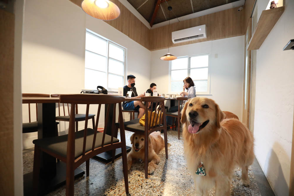 台中美食｜千汌日本料理 にほんりょうり。台中寵物友善餐廳、豪華免費寵物握壽司鮮食餐、包廂設計、寵物友善日料！！