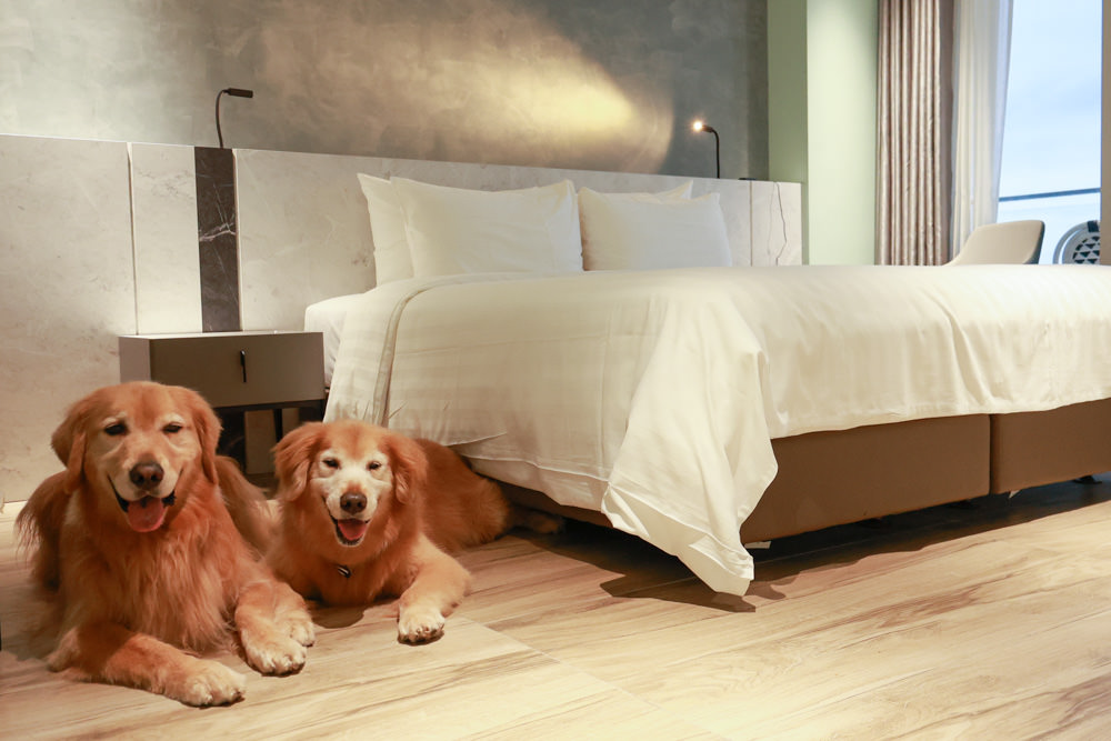 新北石門、北海岸海景住宿推薦｜半島海悅渡假會館：每一間都能帶毛孩入住，超美落地窗海景房必住！寵物友善民宿、北海岸寵物友善住宿