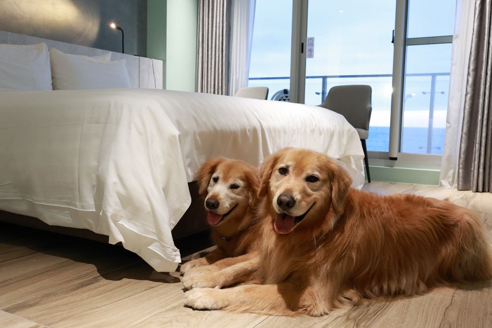 新北石門、北海岸海景住宿推薦｜半島海悅渡假會館：每一間都能帶毛孩入住，超美落地窗海景房必住！寵物友善民宿、北海岸寵物友善住宿