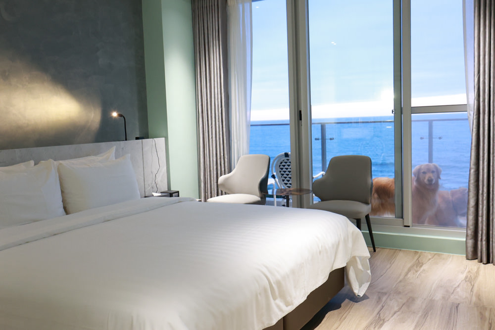 新北石門、北海岸海景住宿推薦｜半島海悅渡假會館：每一間都能帶毛孩入住，超美落地窗海景房必住！寵物友善民宿、北海岸寵物友善住宿