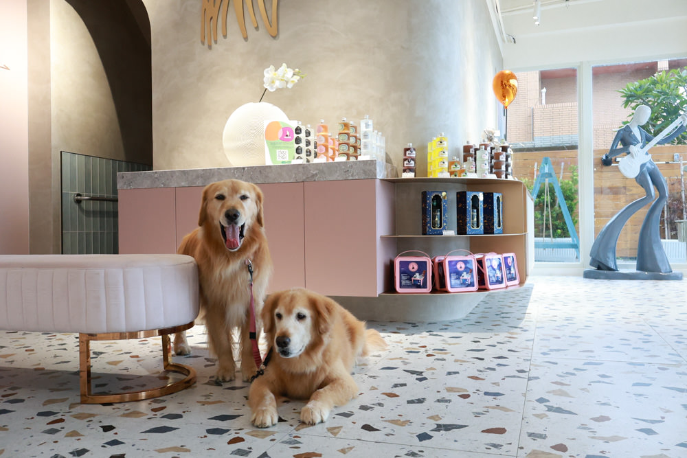 新北石門、北海岸海景住宿推薦｜半島海悅渡假會館：每一間都能帶毛孩入住，超美落地窗海景房必住！寵物友善民宿、北海岸寵物友善住宿