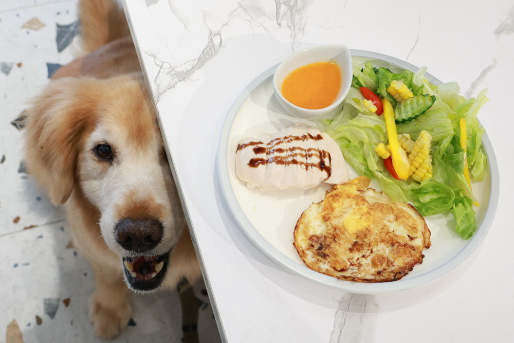 新北石門、北海岸海景住宿推薦｜半島海悅渡假會館：每一間都能帶毛孩入住，超美落地窗海景房必住！寵物友善民宿、北海岸寵物友善住宿