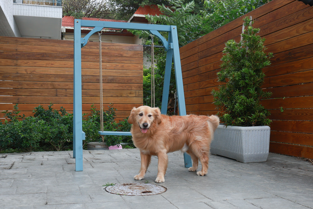 新北石門、北海岸海景住宿推薦｜半島海悅渡假會館：每一間都能帶毛孩入住，超美落地窗海景房必住！寵物友善民宿、北海岸寵物友善住宿