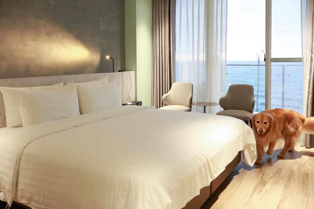 新北石門、北海岸海景住宿推薦｜半島海悅渡假會館：每一間都能帶毛孩入住，超美落地窗海景房必住！寵物友善民宿、北海岸寵物友善住宿
