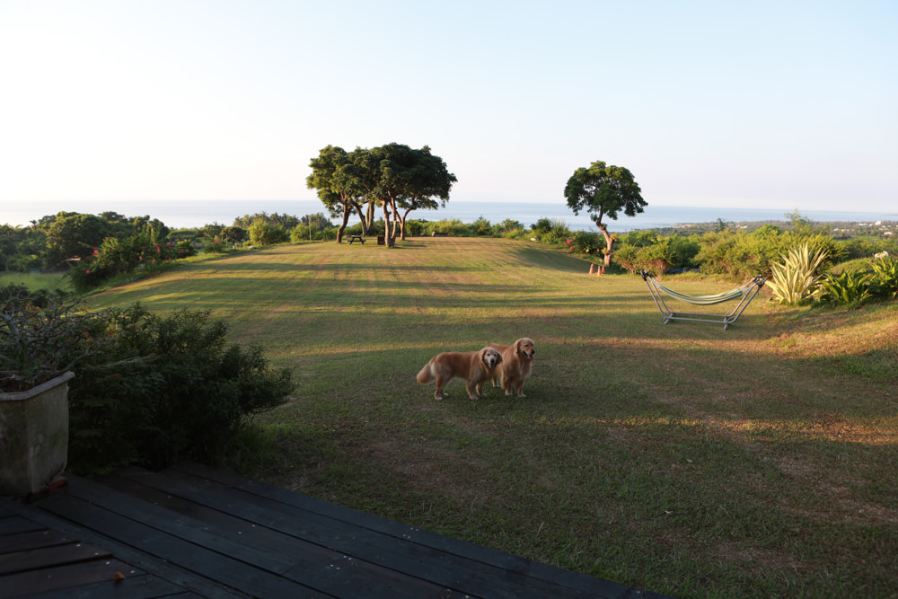台東東河南八里民宿。寵物友善民宿、坐擁絕美太平洋海景、倚靠都蘭山、綠意盎然大草原！
