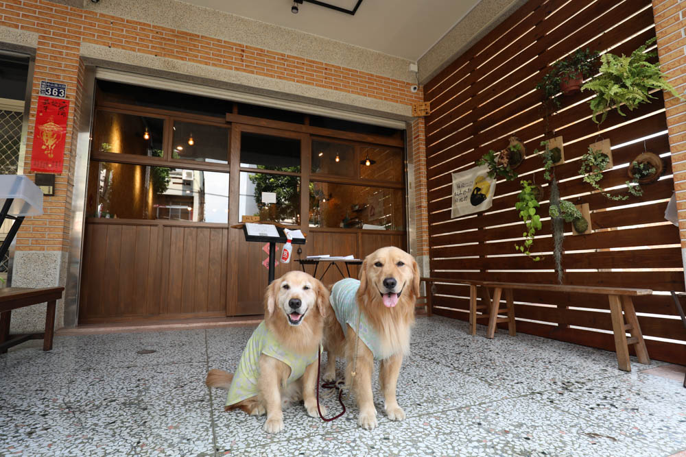 南投埔里美食｜犬侍拉麵。寵物友善餐廳、湯頭濃郁的美味日式拉麵、炸雞煎餃也很道地！
