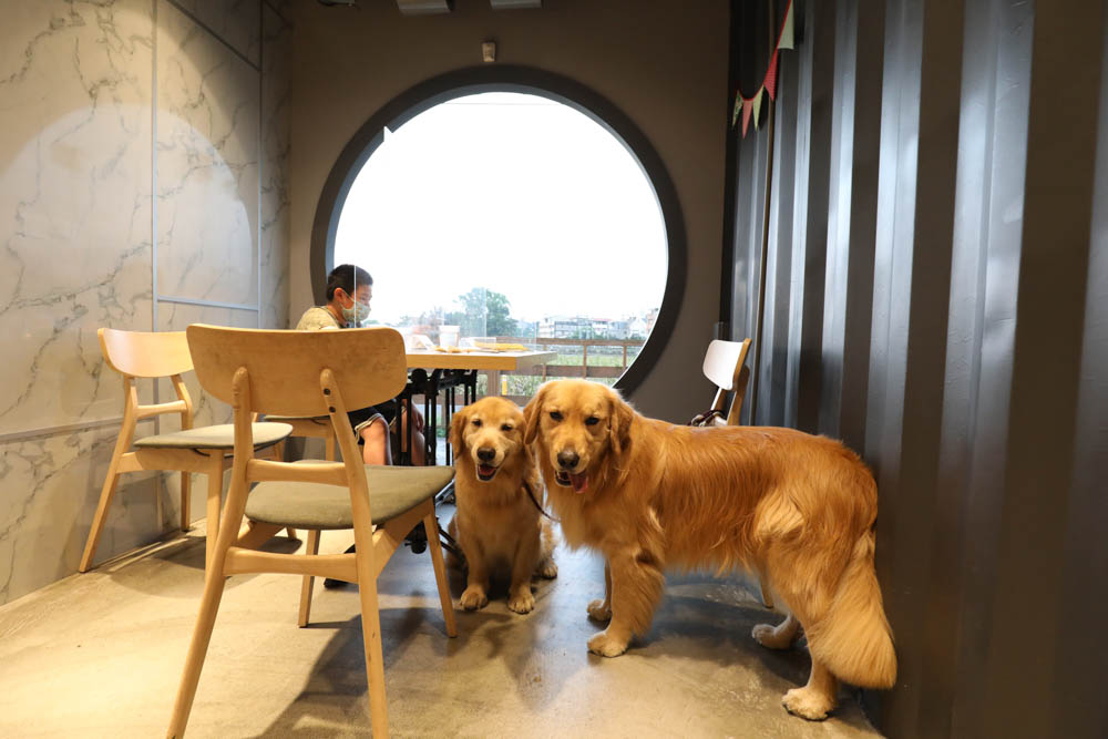 南投埔里美食｜肆盒院。繽紛貨櫃屋網美餐廳、精緻早午餐、寵物友善餐廳、舒肥料理、特色美食