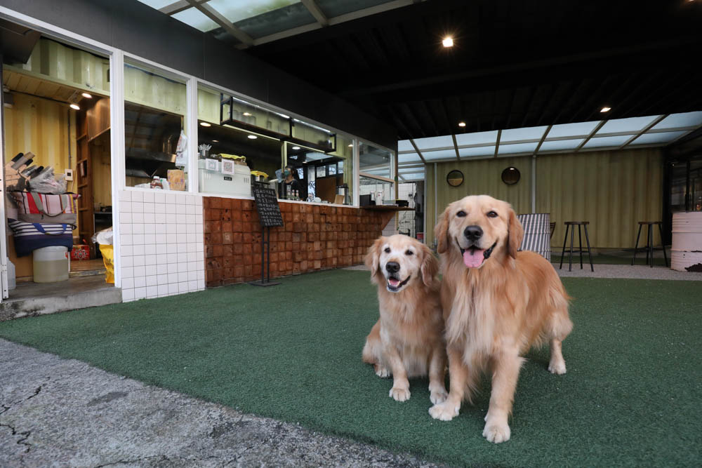 南投埔里美食｜肆盒院。繽紛貨櫃屋網美餐廳、精緻早午餐、寵物友善餐廳、舒肥料理、特色美食