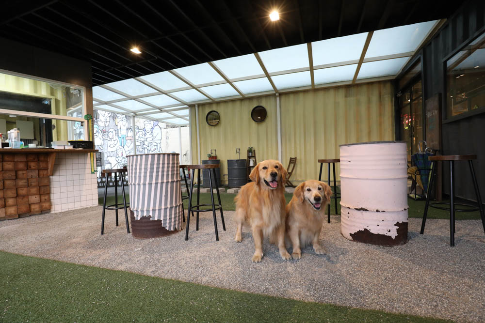 南投埔里美食｜肆盒院。繽紛貨櫃屋網美餐廳、精緻早午餐、寵物友善餐廳、舒肥料理、特色美食