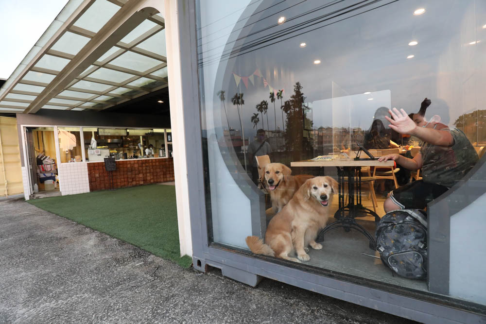 南投埔里美食｜肆盒院。繽紛貨櫃屋網美餐廳、精緻早午餐、寵物友善餐廳、舒肥料理、特色美食