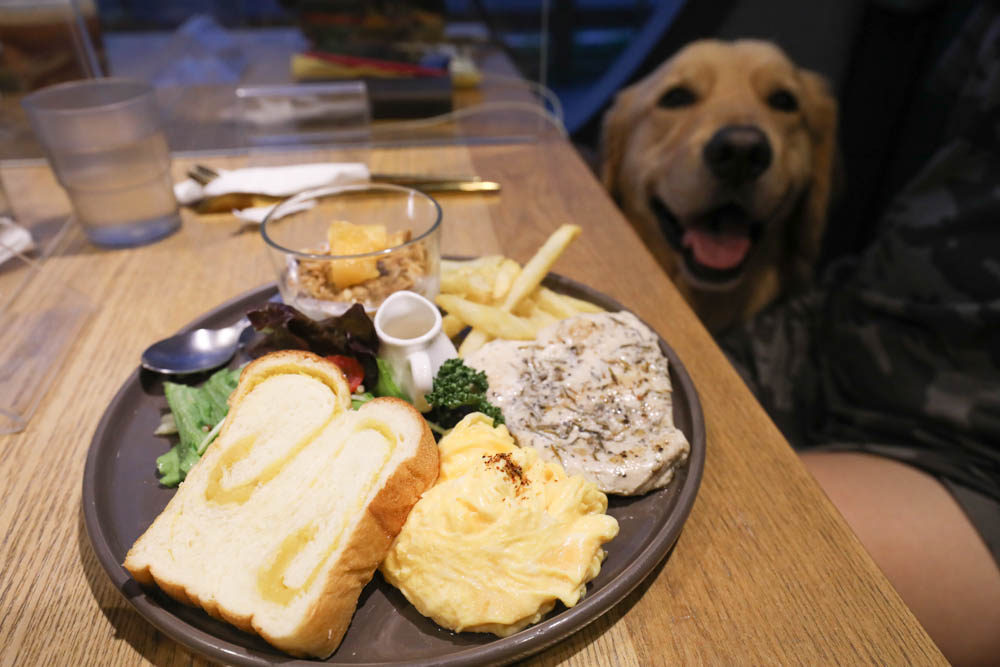 南投埔里美食｜肆盒院。繽紛貨櫃屋網美餐廳、精緻早午餐、寵物友善餐廳、舒肥料理、特色美食