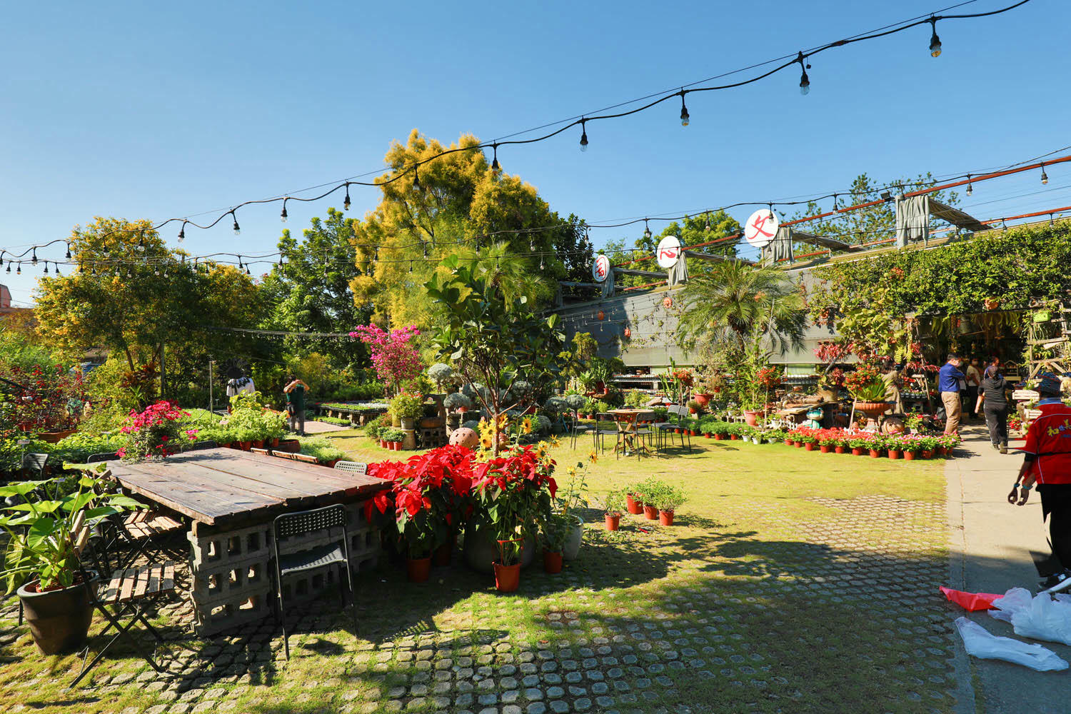 南投市美食|文心園花園咖啡。絕美歐風花園餐廳、異國鄉村花園咖啡屋、南投寵物友善餐廳 - 第29張圖 南投市美食|文心園花園咖啡。絕美歐風花園餐廳、異國鄉村花園咖啡屋、南投寵物友善餐廳
