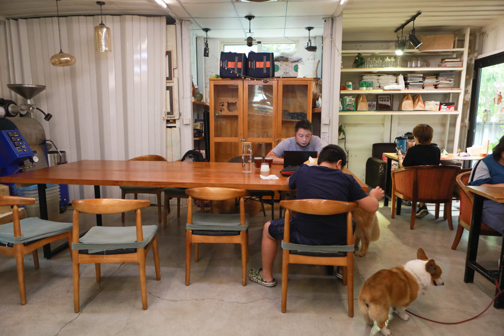 屏東南州｜南邊61-6咖啡。寵物友善餐廳、綠意盎然大草皮、屏東咖啡廳、店狗標準型貴賓犬
