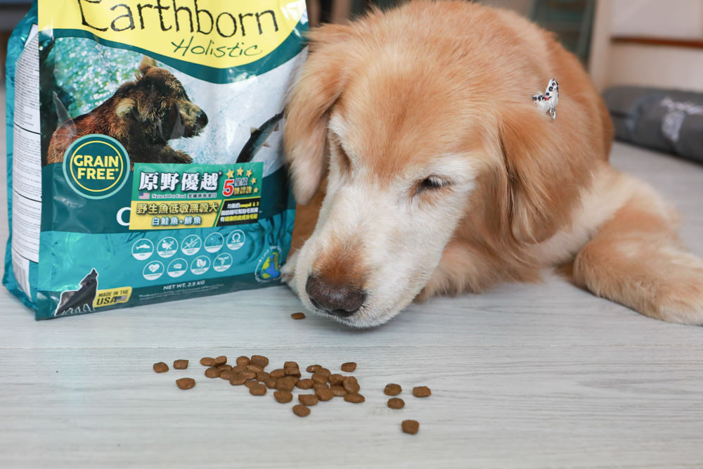 WDJ 寵物飼料推薦｜Earthborn原野優越犬糧。無穀低敏狗飼料開箱、低敏配方寵物飼料、高適口性寵物無穀飼料、挑嘴狗推薦、王品寵物評價
