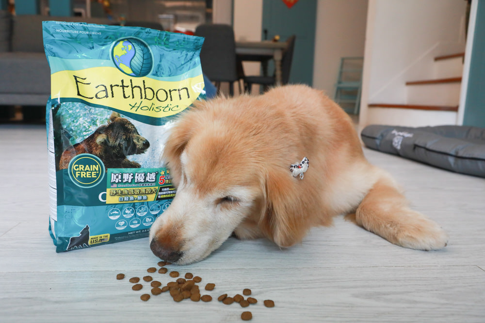 WDJ 寵物飼料推薦｜Earthborn原野優越犬糧。無穀低敏狗飼料開箱、低敏配方寵物飼料、高適口性寵物無穀飼料、挑嘴狗推薦、王品寵物評價
