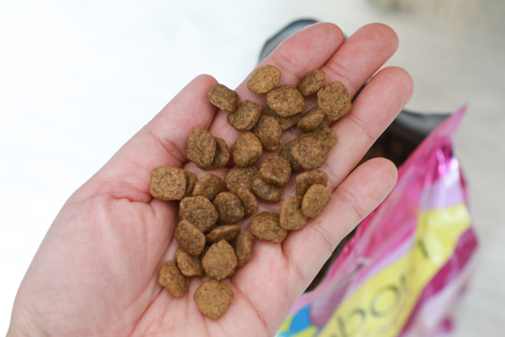 WDJ 寵物飼料推薦｜Earthborn原野優越犬糧。無穀低敏狗飼料開箱、低敏配方寵物飼料、高適口性寵物無穀飼料、挑嘴狗推薦、王品寵物評價