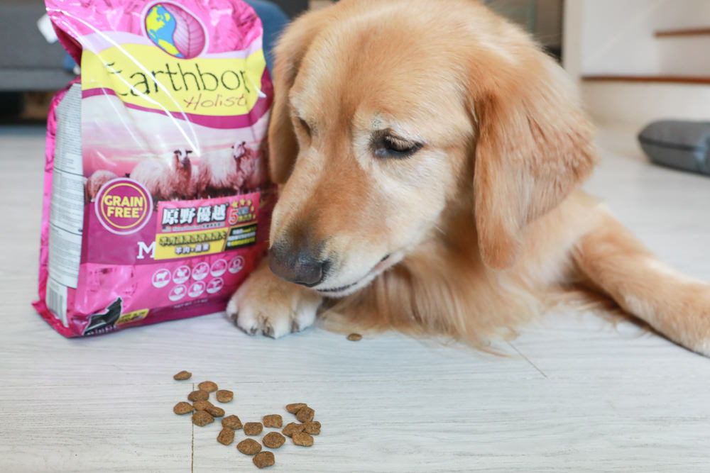 WDJ 寵物飼料推薦｜Earthborn原野優越犬糧。無穀低敏狗飼料開箱、低敏配方寵物飼料、高適口性寵物無穀飼料、挑嘴狗推薦、王品寵物評價