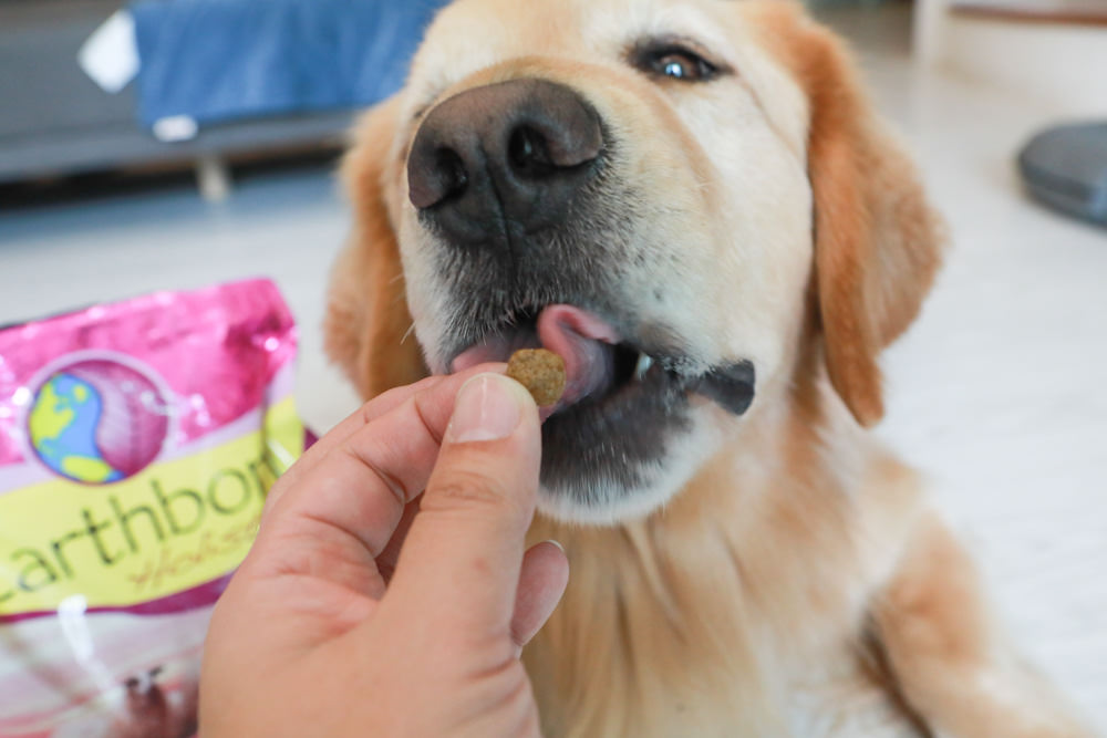 WDJ 寵物飼料推薦｜Earthborn原野優越犬糧。無穀低敏狗飼料開箱、低敏配方寵物飼料、高適口性寵物無穀飼料、挑嘴狗推薦、王品寵物評價