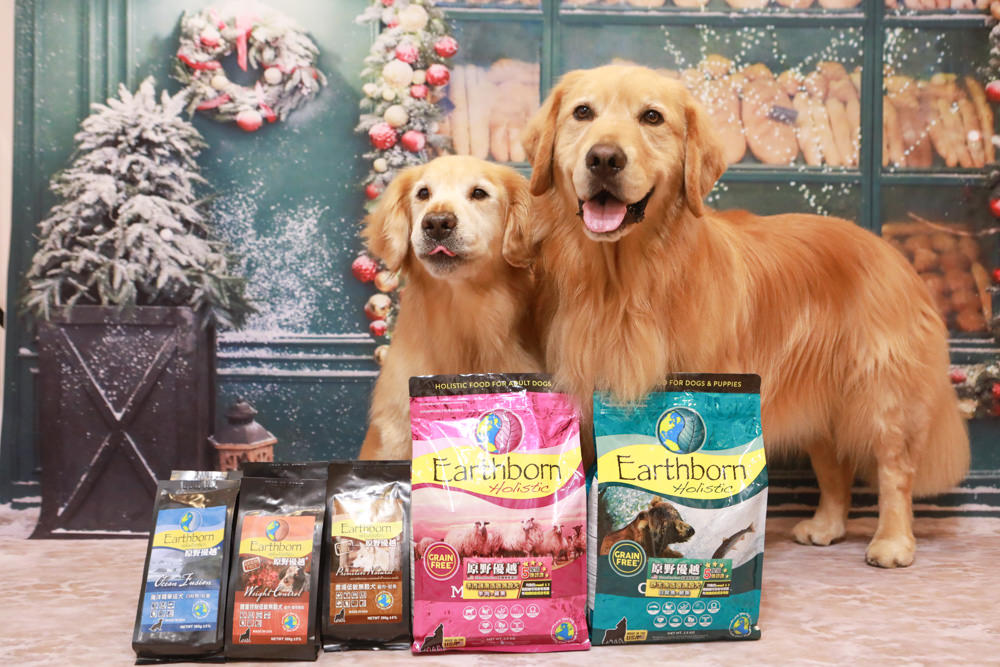 WDJ 寵物飼料推薦｜Earthborn原野優越犬糧。無穀低敏狗飼料開箱、低敏配方寵物飼料、高適口性寵物無穀飼料、挑嘴狗推薦、王品寵物評價