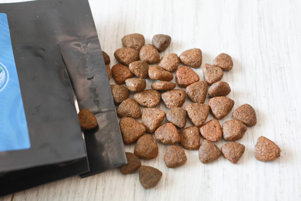 WDJ 寵物飼料推薦｜Earthborn原野優越犬糧。無穀低敏狗飼料開箱、低敏配方寵物飼料、高適口性寵物無穀飼料、挑嘴狗推薦、王品寵物評價