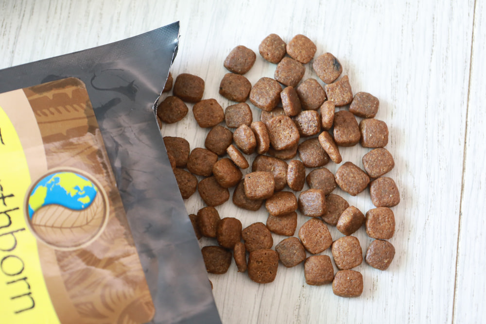 WDJ 寵物飼料推薦｜Earthborn原野優越犬糧。無穀低敏狗飼料開箱、低敏配方寵物飼料、高適口性寵物無穀飼料、挑嘴狗推薦、王品寵物評價