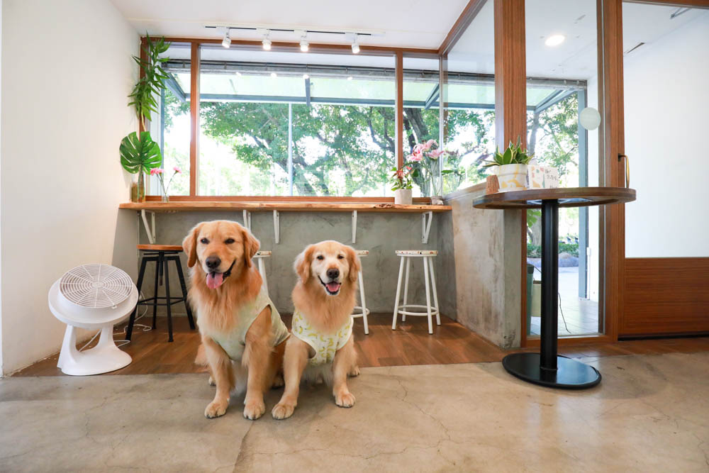 台北信義區美食｜叁食咖啡廳。國父紀念館寵物友善餐廳、韓系小清新網美咖啡廳、餐點美味多元化