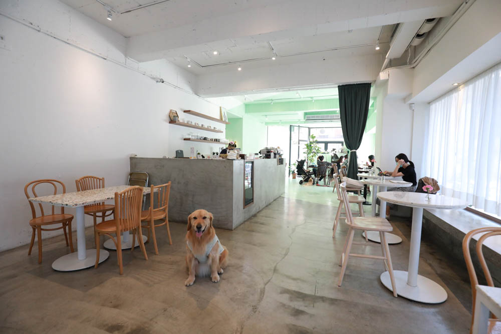台北信義區美食｜叁食咖啡廳。國父紀念館寵物友善餐廳、韓系小清新網美咖啡廳、餐點美味多元化