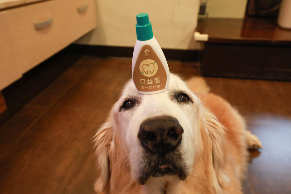 寵樂芙口益菌|寵物漢方草本牙粉。寵物專用粉末型口腔噴劑、口腔護理保健、幫助控制牙垢 - 第13張圖 寵樂芙口益菌|寵物漢方草本牙粉。寵物專用粉末型口腔噴劑、口腔護理保健、幫助控制牙垢