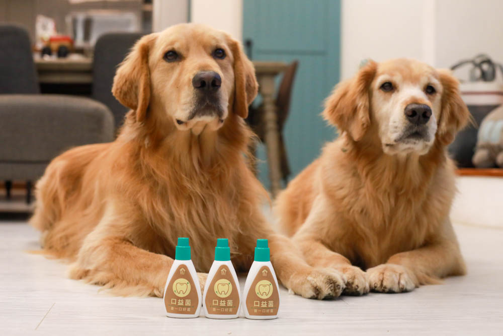 寵樂芙口益菌|寵物漢方草本牙粉。寵物專用粉末型口腔噴劑、口腔護理保健、幫助控制牙垢 - 第15張圖 寵樂芙口益菌|寵物漢方草本牙粉。寵物專用粉末型口腔噴劑、口腔護理保健、幫助控制牙垢