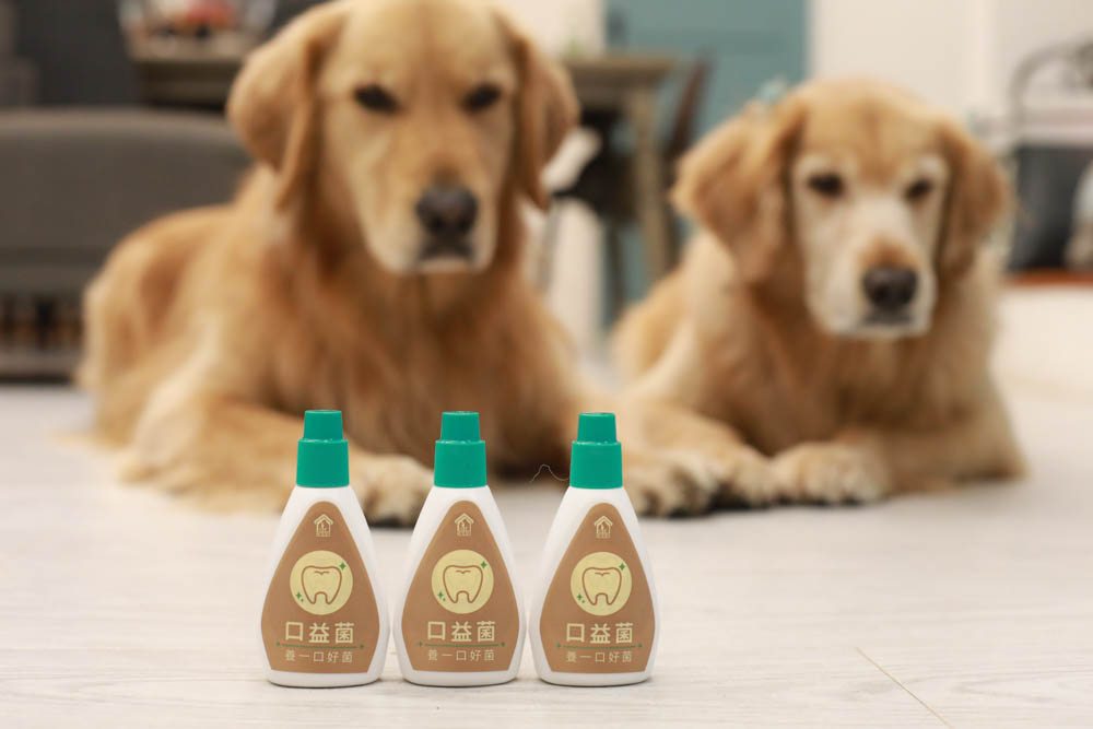 寵樂芙口益菌|寵物漢方草本牙粉。寵物專用粉末型口腔噴劑、口腔護理保健、幫助控制牙垢 - 第2張圖 寵樂芙口益菌|寵物漢方草本牙粉。寵物專用粉末型口腔噴劑、口腔護理保健、幫助控制牙垢