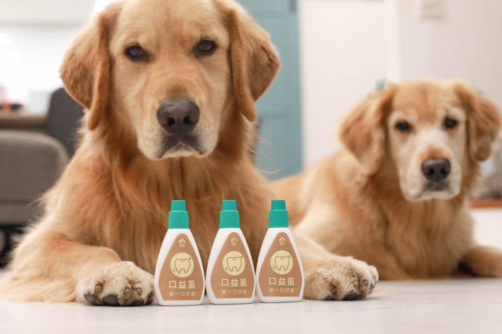 寵樂芙口益菌|寵物漢方草本牙粉。寵物專用粉末型口腔噴劑、口腔護理保健、幫助控制牙垢 - 第1張圖 寵樂芙口益菌|寵物漢方草本牙粉。寵物專用粉末型口腔噴劑、口腔護理保健、幫助控制牙垢