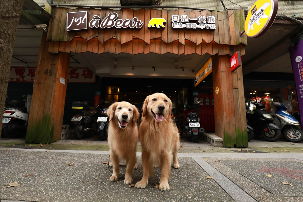 新店美食｜Just a Bear只是一隻熊。寵物友善餐廳、澎湃早午餐、義大利麵、新店市公所捷運站
