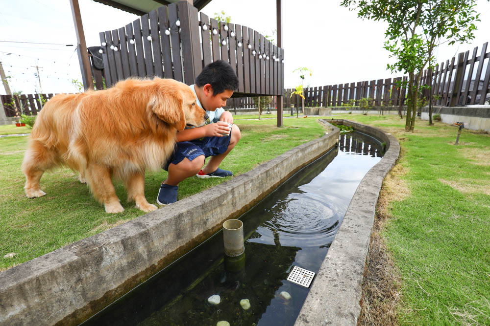 宜蘭冬山|可妮吉娃親子庭園獨棟民宿。寵物友善、可包棟、大草皮、戲水池、烤肉區、獨棟別墅 - 第13張圖 宜蘭冬山|可妮吉娃親子庭園獨棟民宿。寵物友善、可包棟、大草皮、戲水池、烤肉區、獨棟別墅