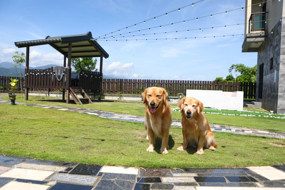 宜蘭冬山|可妮吉娃親子庭園獨棟民宿。寵物友善、可包棟、大草皮、戲水池、烤肉區、獨棟別墅 - 第5張圖 宜蘭冬山|可妮吉娃親子庭園獨棟民宿。寵物友善、可包棟、大草皮、戲水池、烤肉區、獨棟別墅