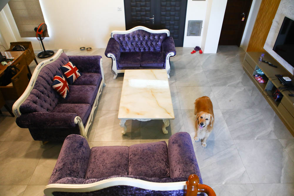 宜蘭冬山|可妮吉娃親子庭園獨棟民宿。寵物友善、可包棟、大草皮、戲水池、烤肉區、獨棟別墅 - 第16張圖 宜蘭冬山|可妮吉娃親子庭園獨棟民宿。寵物友善、可包棟、大草皮、戲水池、烤肉區、獨棟別墅