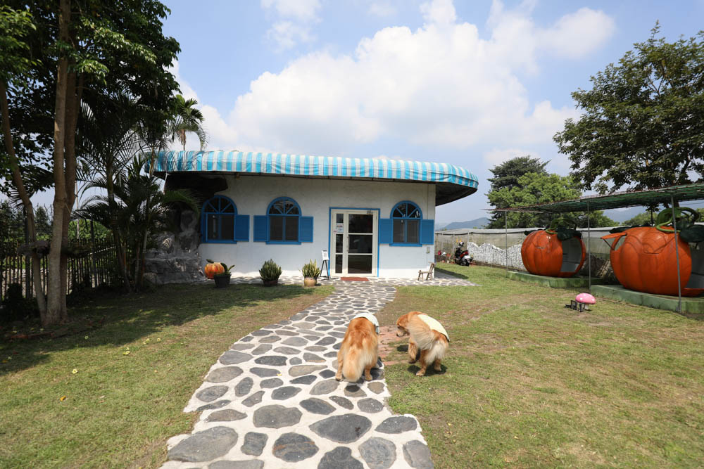 南投埔里美食|可妮小屋。地中海希臘聖托里尼風情景觀餐廳、寵物友善、義式簡餐料理 - 第4張圖 南投埔里美食|可妮小屋。地中海希臘聖托里尼風情景觀餐廳、寵物友善、義式簡餐料理