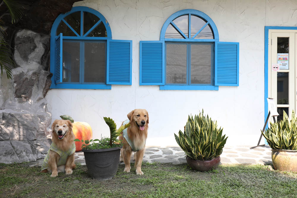 南投埔里美食|可妮小屋。地中海希臘聖托里尼風情景觀餐廳、寵物友善、義式簡餐料理 - 第8張圖 南投埔里美食|可妮小屋。地中海希臘聖托里尼風情景觀餐廳、寵物友善、義式簡餐料理
