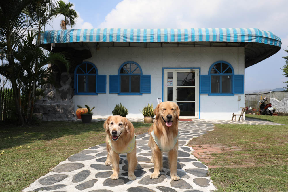 南投埔里美食|可妮小屋。地中海希臘聖托里尼風情景觀餐廳、寵物友善、義式簡餐料理 - 第24張圖 南投埔里美食|可妮小屋。地中海希臘聖托里尼風情景觀餐廳、寵物友善、義式簡餐料理